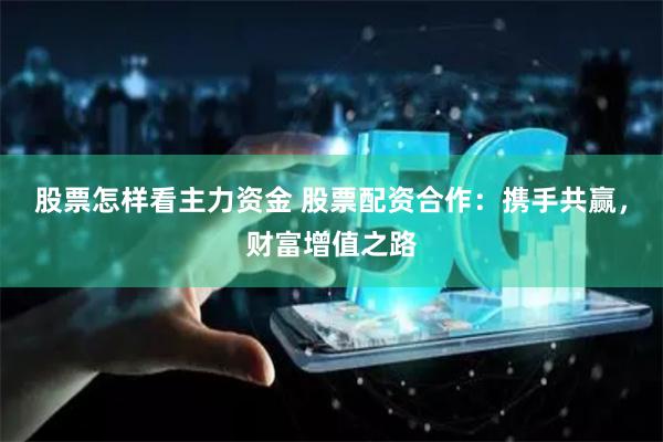 股票怎样看主力资金 股票配资合作：携手共赢，财富增值之路