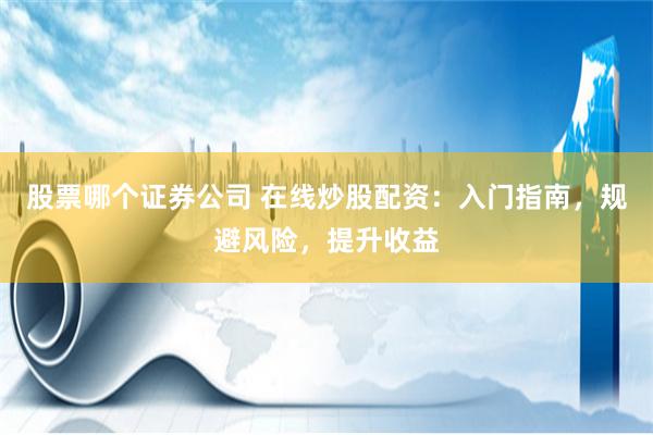 股票哪个证券公司 在线炒股配资：入门指南，规避风险，提升收益