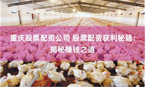 重庆股票配资公司 股票配资获利秘籍：揭秘赚钱之道