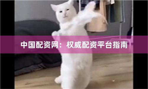 中国配资网：权威配资平台指南